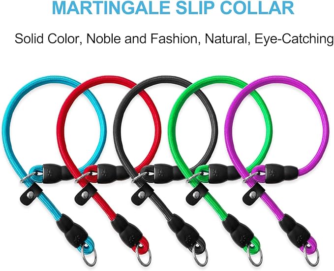 LOS ANDES Dog Slip Collar with Slidable Stopper, No Pull Choker Training Martingale Collar for Small Medium Large Dogs, Nylon, Blue, M (19 in x 10 mm)