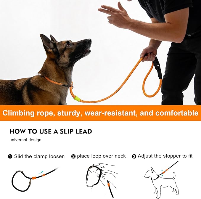 BeauGo|Dog Leash Slip Lead,No Pull Training Leash,2-in-1 Dog Lead & Collar,Professional Trainer Rope,Sturdy and Durable Suitable for All Dogs (6ft Green) ﻿