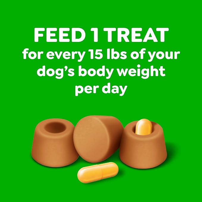 Greenies Pill Pockets for Dogs Large Size, Dog Treat Pouch for Capsule Medication, Cheese Flavor, 15.8 oz. Pouch