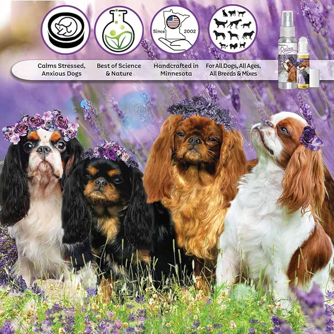 The Blissful Dog English Toy Spaniel Relax Dog Aromatherapy Spray for Your Dog's Anxiety