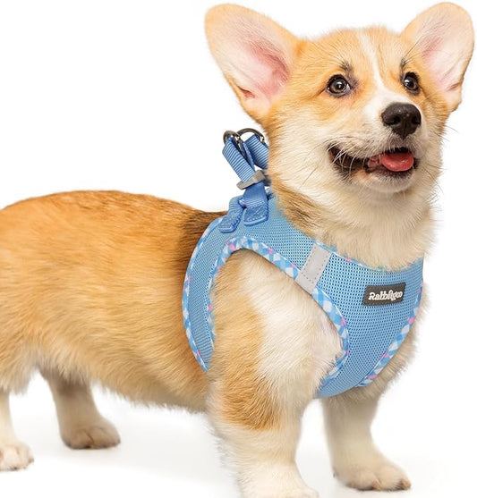 rabbitgoo Small Dog Harness, Step-in Soft Mesh Puppy Vest with Safety Buckle, Breathable Reflective Pet Harness for Small Medium Dogs, Blue & Plaid Trim L