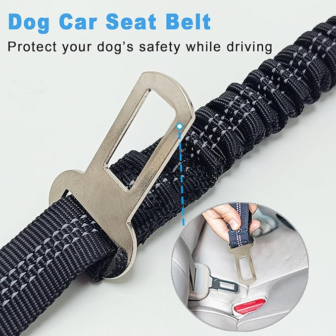 5FT Double Handle Tactical Dog Leash with Shock Absorption, Reflective Heavy Duty Bungee Dog Leash for Medium Large Dogs that Pull, Daily Walking Training, Black