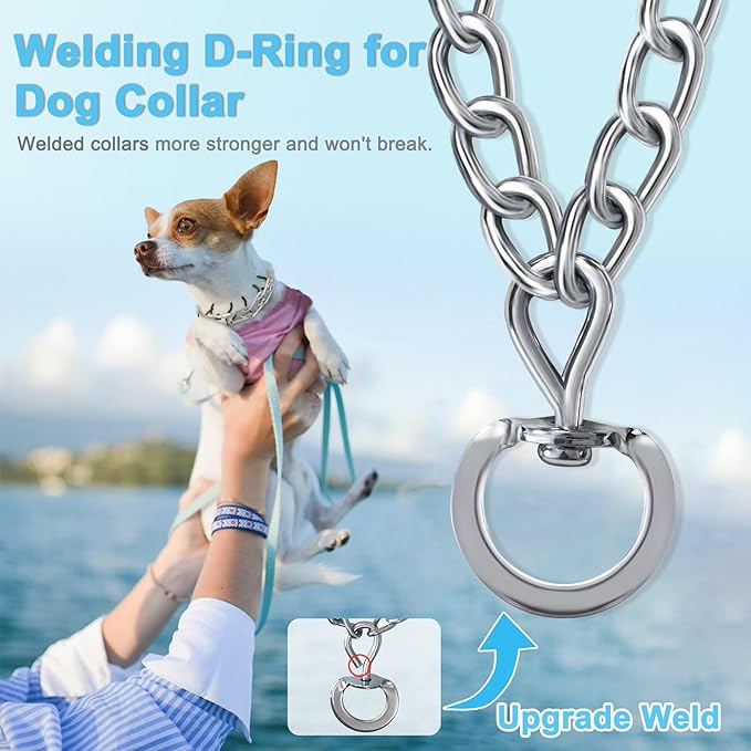 No Pull Dog Adjustable Collar with Buckle for Small Medium Large Dogs