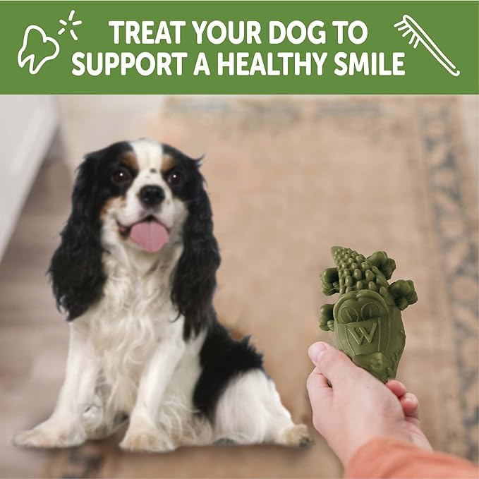 Whimzees Wellness Alligator Dog Dental Treats, Small Size, (24 Count)