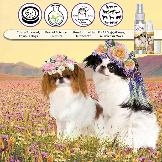 The Blissful Dog Japanese Chin Relax Dog Aromatherapy Spray for Your Dog's Anxiety