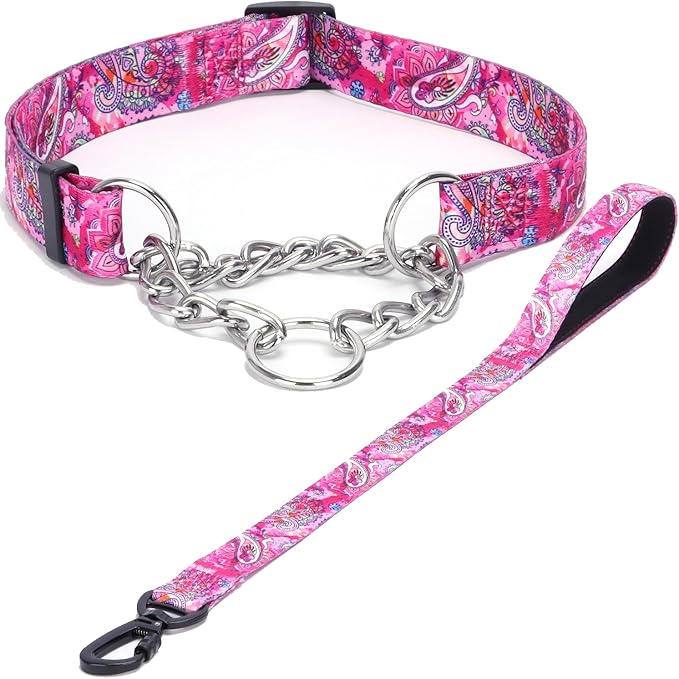 Martingale Dog Collar with Stainless Steel Chain - Limited Chain Cinch Training Collar for No Pull Training Dog - Flower Multicolor Cute Patterns - Premium No Slip Collar (XL, Pink Set)