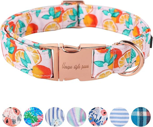 Unique style paws Dog Collar Metal Buckle Gift for Small Medium Large Boys Girls Dogs orange