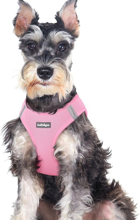 rabbitgoo Small Dog Harness, Step-in Soft Mesh Puppy Vest with Safety Buckle, Breathable Reflective Pet Harness for Large Dogs, Light Pink XXL