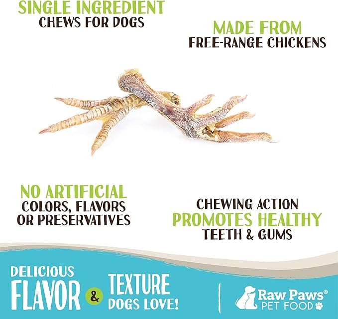 Raw Paws Dried Chicken Feet Dog Treats (50 Pack) - Packed in USA - Dehydrated Chicken Feet for Dogs - Natural, Single Ingredient Chews