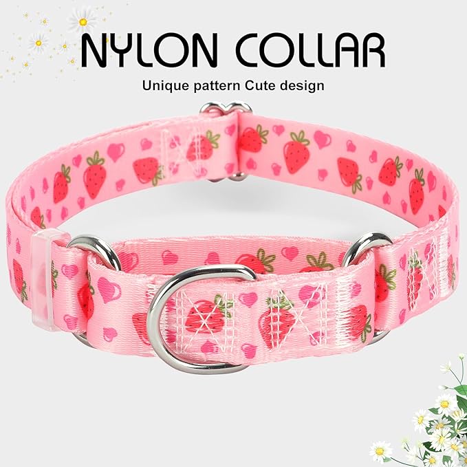 Martingale Dog Collar for Small Pet Dogs- Pink Strawberry No-Slip Escape Proof Choke No Pull Fruit Dog Collar for Male and Female Dogs Training & Walking S