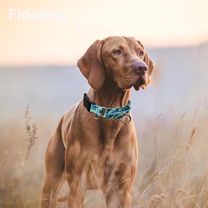 Reflective Martingale Collar with Buckle Adjustable Nylon Training Pet Collars for Extra Small Dogs (Turquoise Shell, XS)