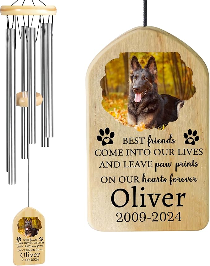 Pet Memorial Wind Chime, Pet Loss Gifts, Pet Memorial Gifts for Dogs, Dog Memorial Gifts for Loss of Dog, Loss of Dog Sympathy Gift, Dog Remembrance Gift, in Memory of Dog Cat - Come into Our Lives