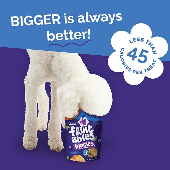 Fruitables Biggies Dog Biscuits, Healthy Treats for Dogs, Doggie Biscuits, Crunchy Pumpkin Treats, Made Without Wheat, Corn and Soy, Made in The USA, Pumpkin and Blueberry Flavor, 16oz