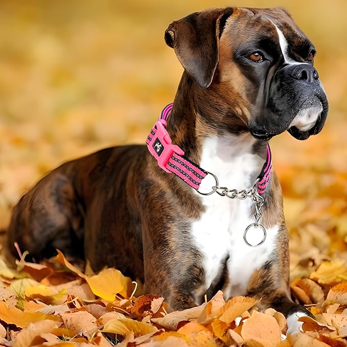 MAOWUWUJOA Martingale Collar for Dogs Reflective Nylon Dog Collar with Quick Release Buckle Adjustable Training No Slip Dog Collars (Pink,L)