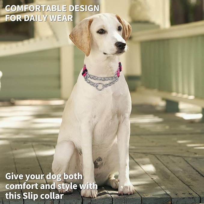 Martingale Dog Collar with Stainless Steel Chain - Limited Chain Cinch Training Collar for No Pull Training Dog - Flower Multicolor Cute Patterns - Premium No Slip Collar (HA12NO6, S)