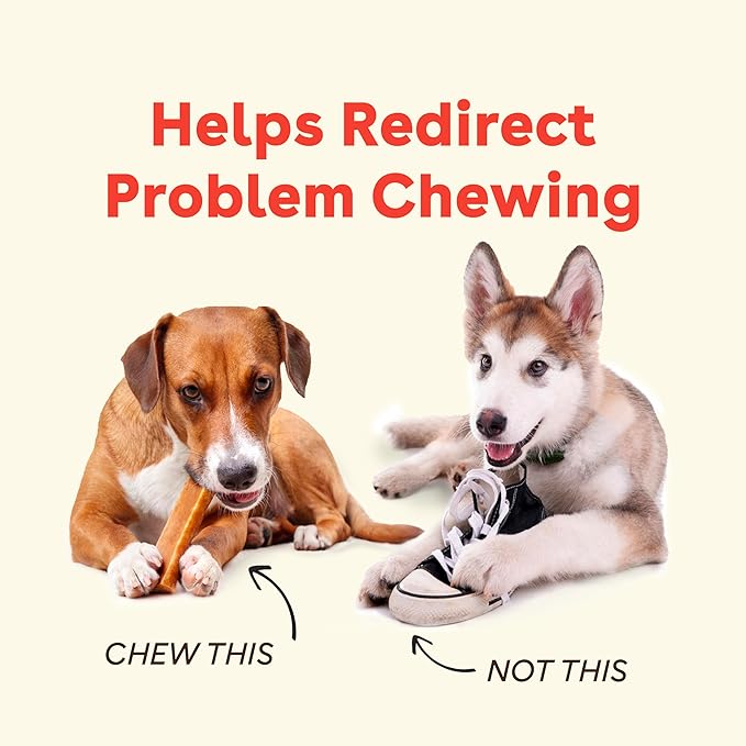 Pupford Yak Cheese Chews for Dogs & Teething Puppies, Natural, Long-Lasting Himalayan Dental Treats (Single Pack Medium)