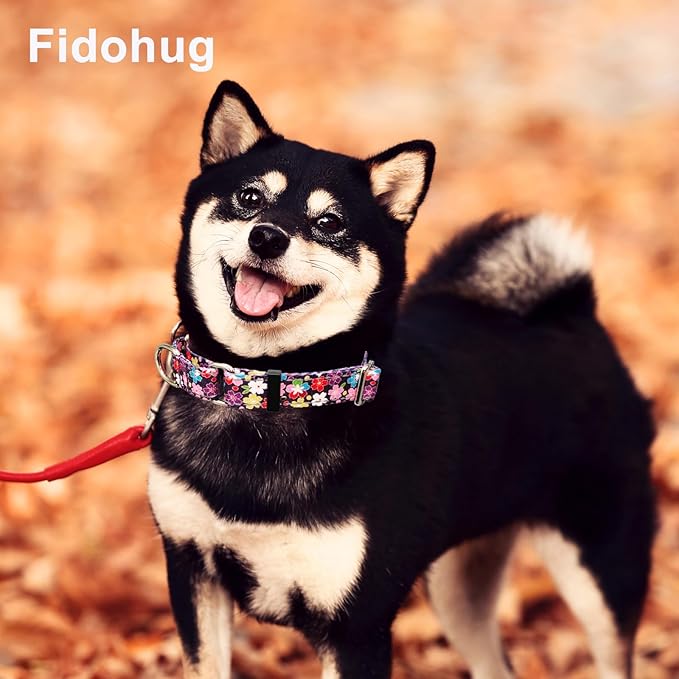 Reflective Martingale Collar for Dogs with Buckle Pretty Fancy Female Floral Dog Collars (Japanese Blossoms, Medium)