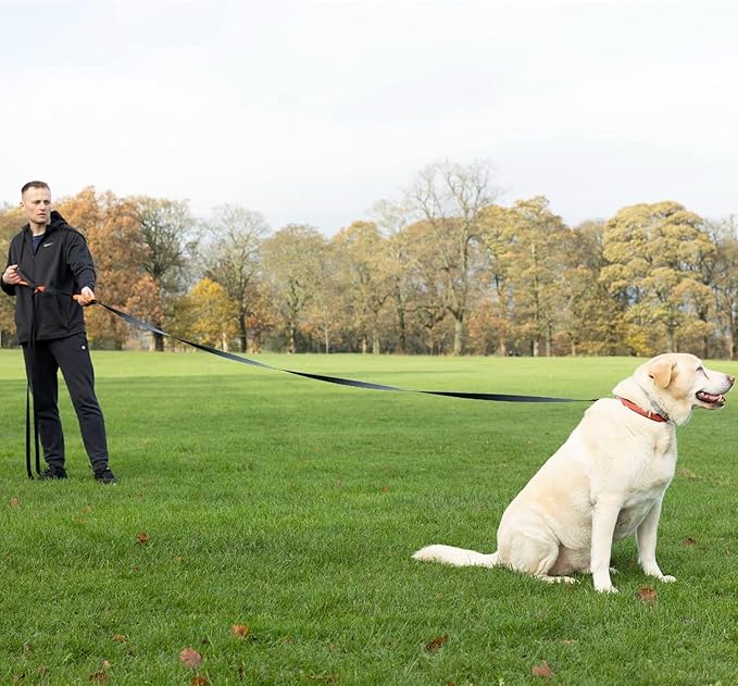 100ft Long Leash for Dogs - Long Line Dog Leash for Training Recall/Commands at Distance - Nylon, Heavy Duty - Ideal for Large & Small Breeds