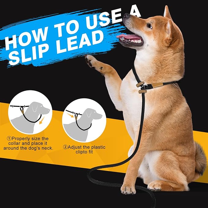 FASTFOX Dog Training Leash, 6ft x 1/2 Inch Slip Lead Loop for Small Medium Large Dogs, No Pull 3-in-1 (Black)