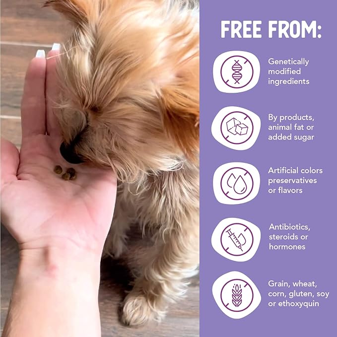 Health Extension Grain Free Salmon & Sweet Potato Little Bites Small Kibble Formula with 30+ Superfoods, Omega 3, and Probiotics for Teacups, Toys & Miniature Dogs (12 lb)