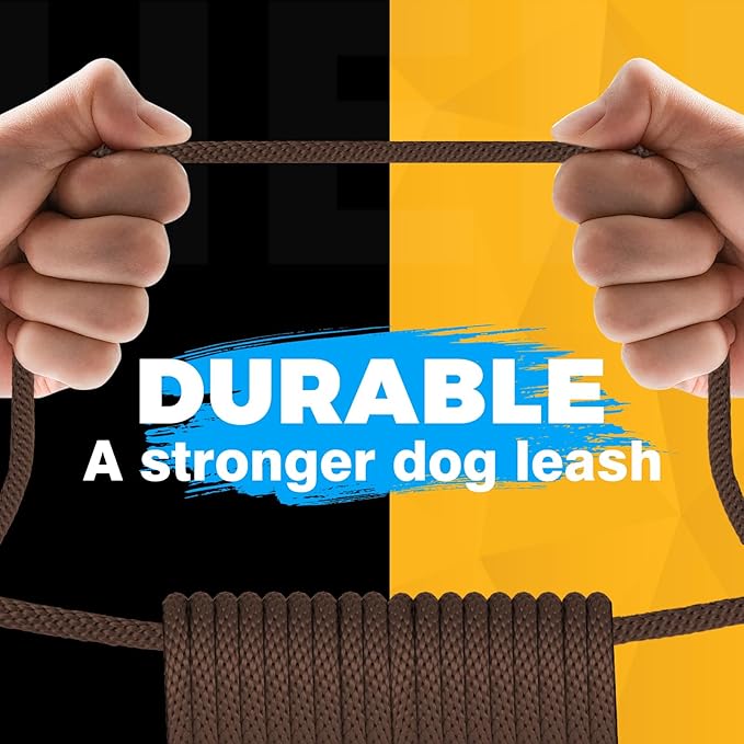 FASTFOX Dog Training Leash, 6ft x 1/2 Inch Slip Lead Loop for Small Medium Large Dogs, No Pull 3-in-1 (Brown)