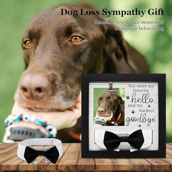 Pet Loss Gift – 9 x 9” Memorial Sympathy Frame with Collar Holder & Card, Remembrance Gift for Loss of Dog or Cat, Rainbow Bridge Keepsake