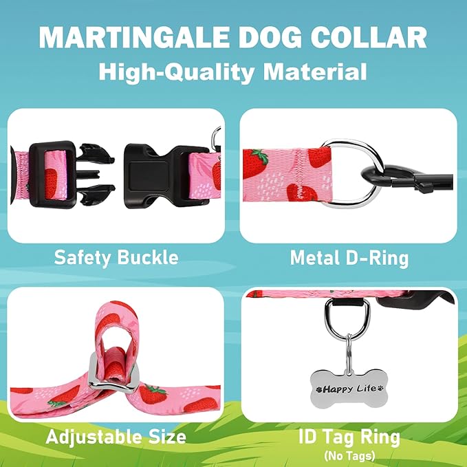 Martingale Collar for Dogs with Pink Strawberry Pattern No Pull Training Nylon Limited Slip Collars for Medium Dogs
