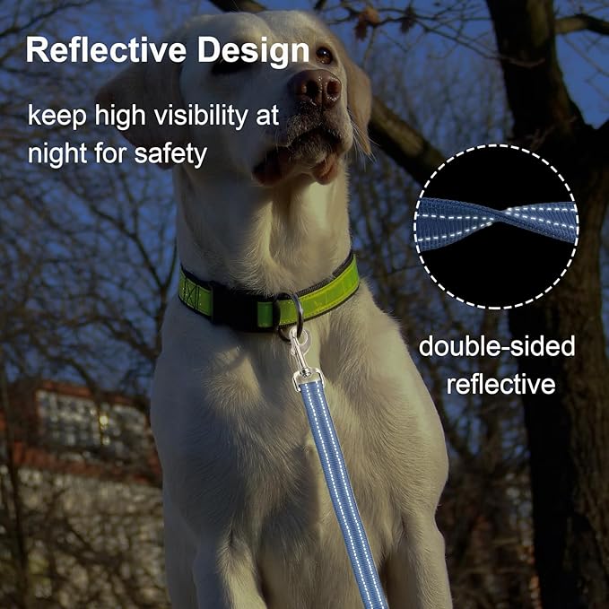 Nylon Short Leash 24 Inches Durable Dog Lead with Handle, Heavy Duty Dog Padded Handle and D-Ring for Control, Traffic 2FT Long for Small to Large Sized Dogs Training Leash Blue