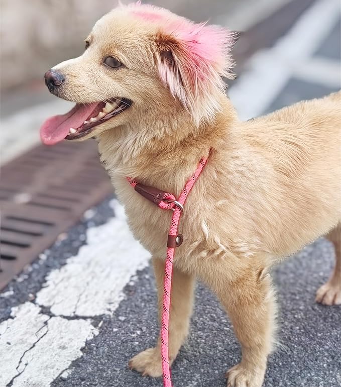Slip Lead Dog Leash, 1/4" x 5ft No Pull Slip-on Training Leash for Small and Medium Dogs (Pink, 1/4" x 5Ft)