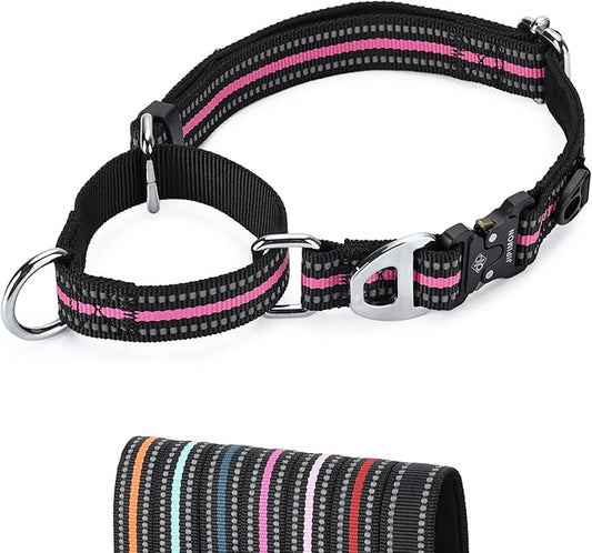 Martingale Dog Collar Reflective Nylon Soft Cushion with Alloy Buckle Dog Collar Martingale Small Medium and Large Dogs (Large, Purple)