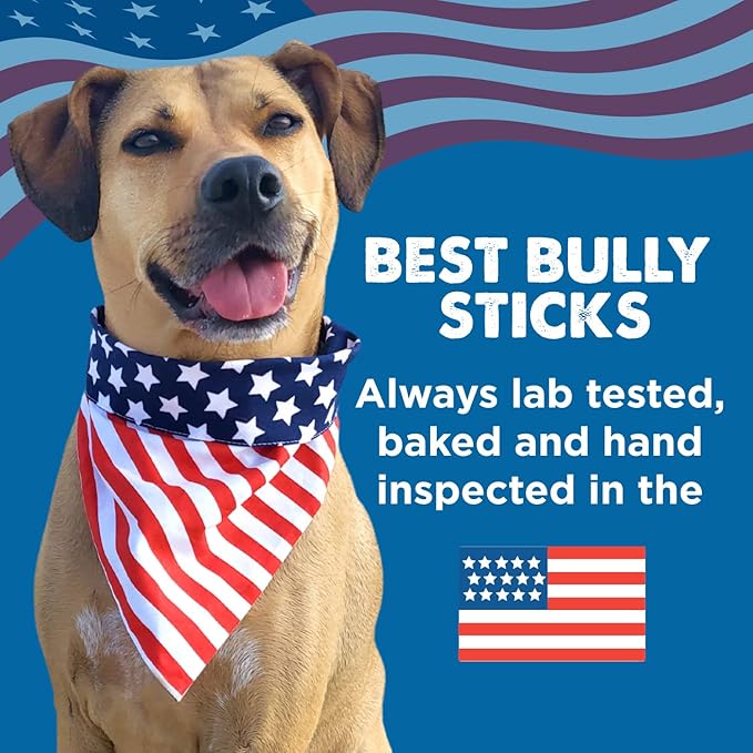 Best Bully Sticks Thick 6 Inch Bully Sticks - 18 Count (Pack of 1) - Natural, Grass-Fed, Single Ingredient, Grain and Rawhide Free, Ideal for Big Breeds