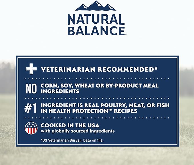 Natural Balance Health Protection Small Breed Dry Dog Food – Whole Body Health, Easy on Digestion Dog Food Made with Chicken, Brown Rice & Pumpkin for Dogs - 4lbs.