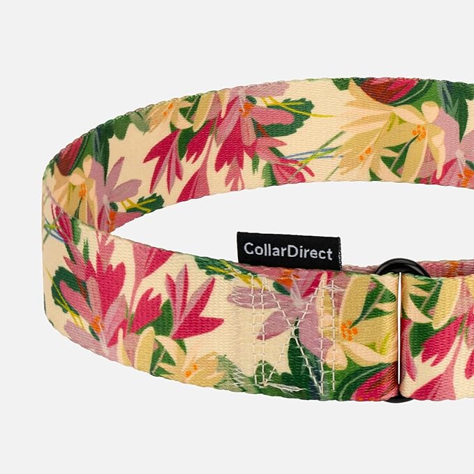 CollarDirect Martingale Collars for Dogs Heavy Duty Floral Pattern Female Safety Nylon Training Wide Collar Flower Design Large Medium (L, Neck Size 15"-20", Toffee)