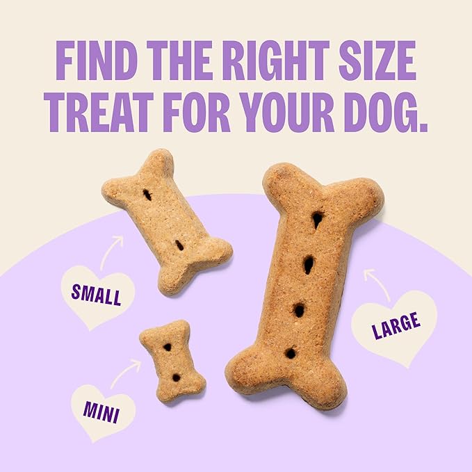Wellness Old Mother Hubbard Classic Original Mix Dog Biscuits, Natural Training Treats, 4 Flavors, Small Size, 3.8 lb Bag