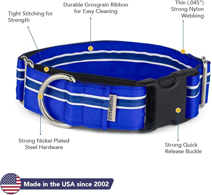 If It Barks - 1.5" Martingale Collar for Dogs - Quick Snap Release Buckle - Adjustable - Nylon - Strong and Comfy - Ideal for Training - Made in USA - Small, Blueberry