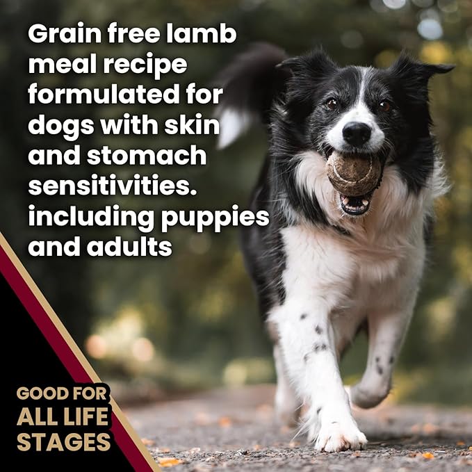 VICTOR Super Premium Dog Food— Sensitive Skin and Stomach— Grain Free Lamb Meal and Sweet Potato Recipe Dry Kibble — Gluten Free, No Chicken, Ideal for Dogs with Allergies — Adult and Puppy Food, 5 lb
