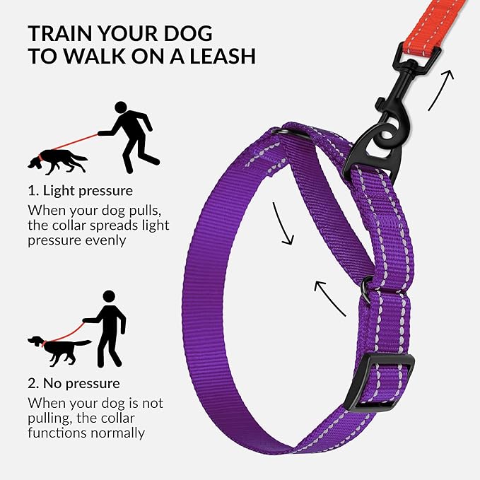 Collardirect Reflective Martingale Dog Collar Nylon Training Collars for Small Medium Large Dogs Puppy Pink Orange Green (M, Neck Size 13"-18", Purple)