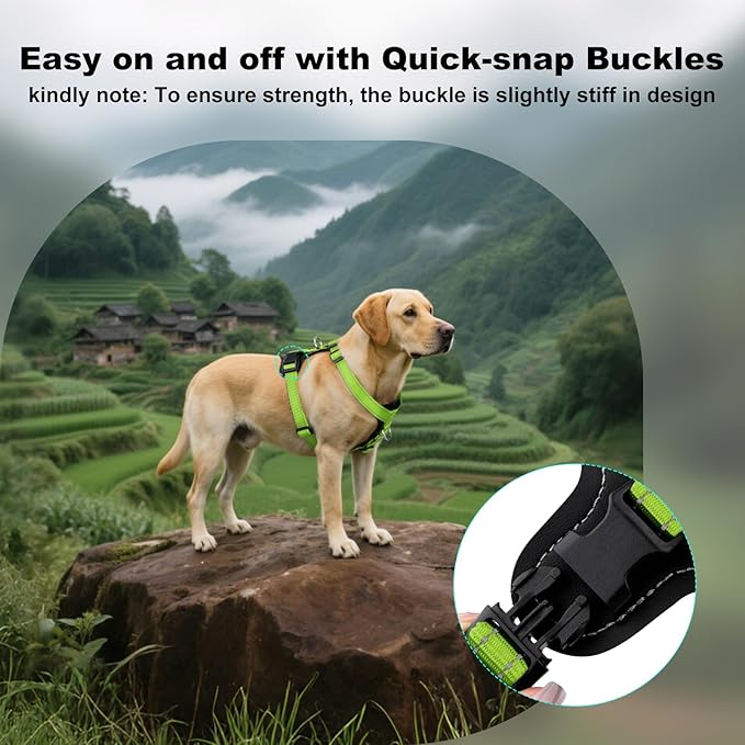 Plutus Pet Adjustable No Pull Dog Harness with Leather Accents, Heavy Duty Reflective Nylon Vest for Training, Hiking, Easy Walk Harness for Small, Medium, Large Dogs (Green, L)
