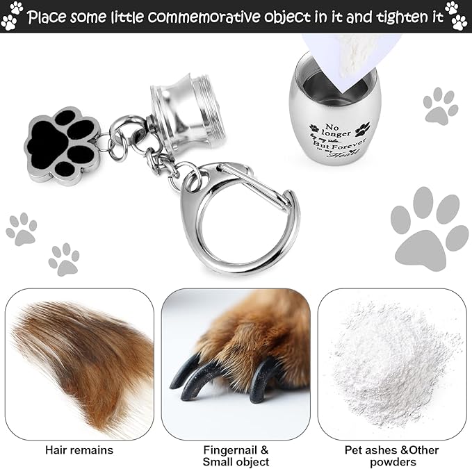 Tudomro Cremation Pet Dog Urns Keychain for Ashes with Storage Bag Stainless Steel Small Cat Paw Memorial Keepsake Jewelry