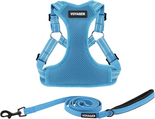 Best Pet Supplies Voyager Adjustable Step-in Flex Breathable Mesh Dog Harness for Small Medium Large Dogs Leash Set (Baby Blue), XS