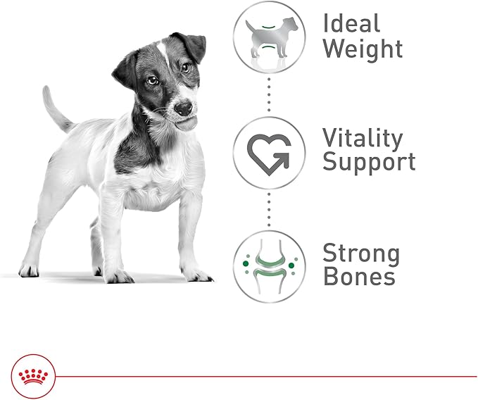 Royal Canin Size Health Nutrition Small 8+ Senior Dry Dog Food, 13 lb Bag