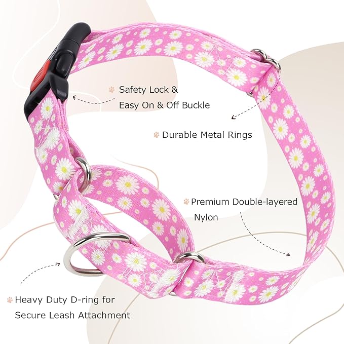 Martingale Collar for Dogs, Pink Daisy Flowers Martingale Dog Collar Adjustable Premium Collar with Quick-Release Buckle, Perfect Girl Collar for Training, Walking, Hunting (S)
