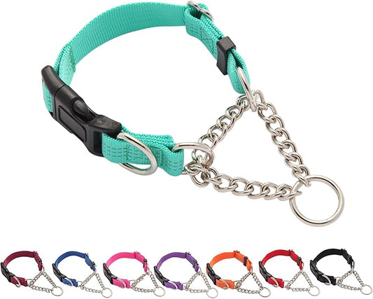 Martingale Dog Collar with Quick Release Buckle Steel Chain No Pull Training Reflective Collar for Medium Large Dogs(Teal, Large)