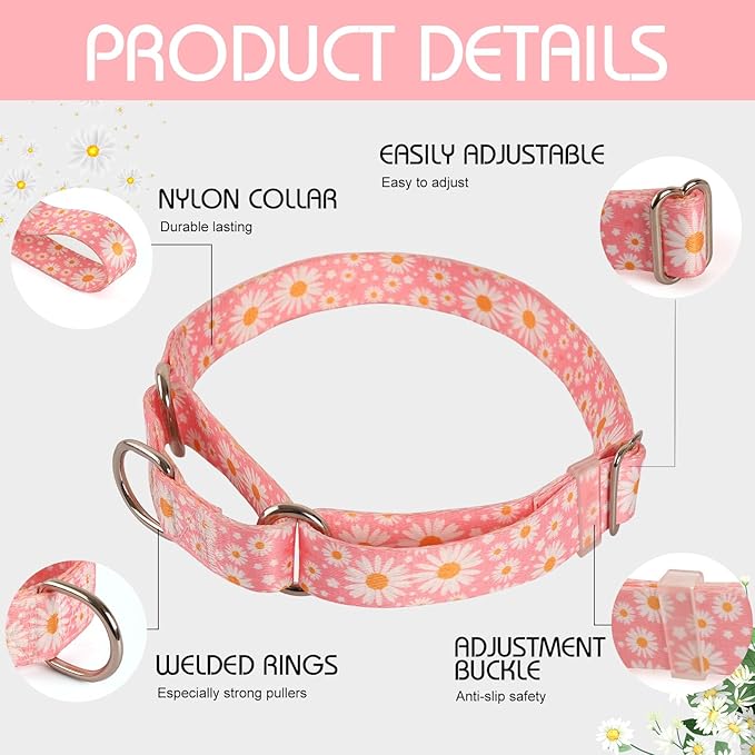 Martingale Collar for Medium Dogs, Pink Daisy Martingale Collar Adjustable, No-Slip, Durable, & Soft Webbing Dog Collar for Male and Female Dogs Ideal for Training & Walking