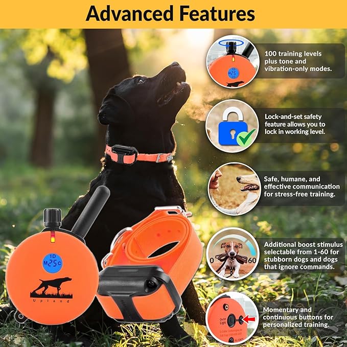 Educator E-Collar The Upland Dog Training Collar w/Remote - 100 Levels of Safe Stimulation, Night Light, Waterproof, Rechargeable, Includes Premium Finger Clicker for 1 Mile 1 Med/Large Dogs, Orange