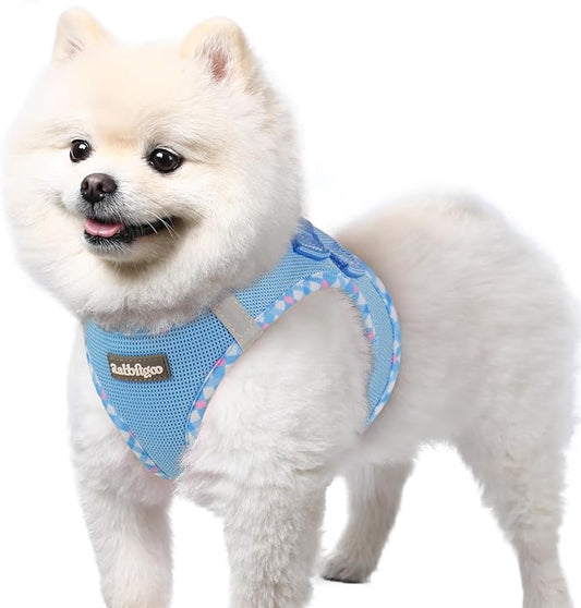 rabbitgoo Small Dog Harness, Step-in Soft Mesh Puppy Vest with Safety Buckle, Breathable Reflective Pet Harness for Small Sized Dogs, Blue & Plaid Trim S