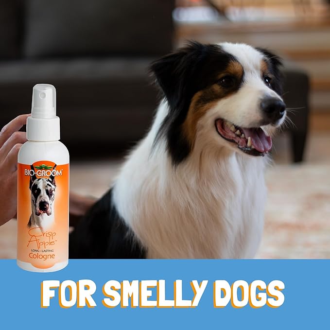 Bio-groom Crisp Apple Dog Cologne - Deodorizing Spray, Bathing Supplies, Puppy Wash, Cat & Dog Grooming Supplies, Cruelty-Free, Made in USA - 8 fl oz 1-Pack