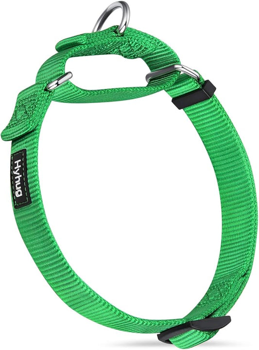 Hyhug Martingale Dog Collar Medium Green |Escape - Proof Heavy Duty Nylon Durable No Slip, Ideal for Training & Daily Walks