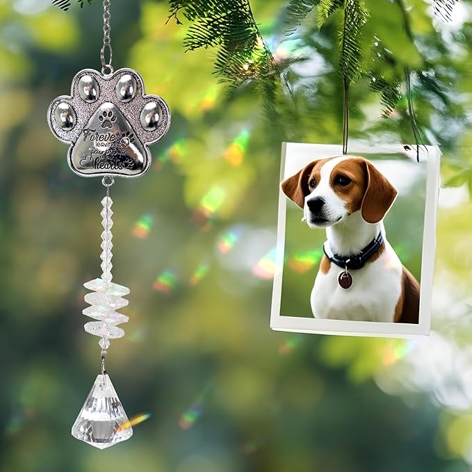 Pet Memorial Suncatcher - Loss of Pet Sympathy Gift for Dog and Cat Owners with Crystals, Indoor Window Suncatchers, Bereavement Gifts Dog Memorial (Transparent)