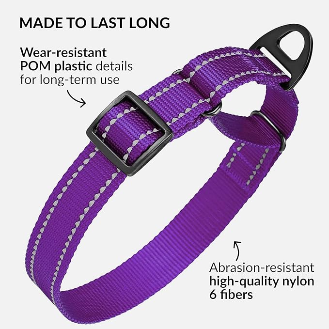 Collardirect Reflective Martingale Dog Collar Nylon Training Collars for Small Medium Large Dogs Puppy Pink Orange Green (M, Neck Size 13"-18", Purple)